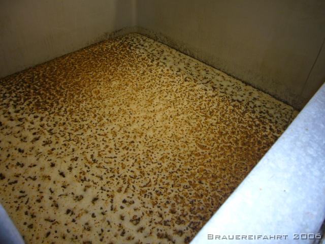 Scherneck 2006 016 